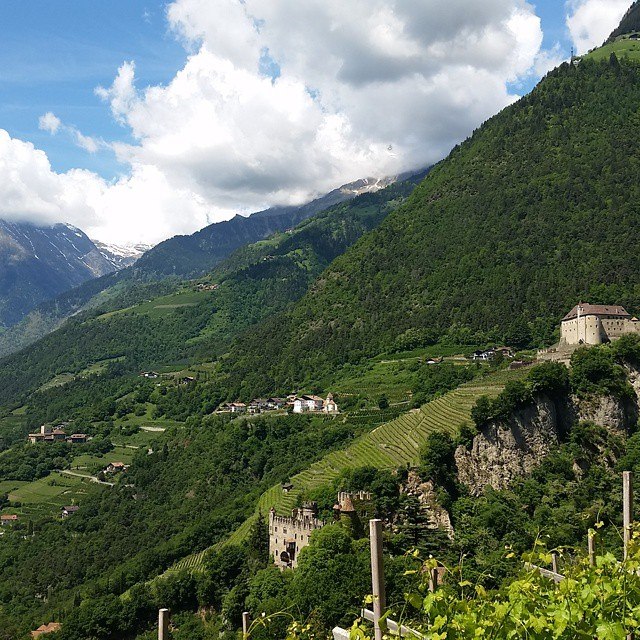 Brunnenburg, Burg Tirol