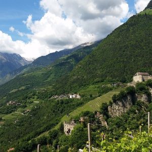 Brunnenburg, Burg Tirol